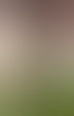 Miniaturka 4 — MADZIAMadzia